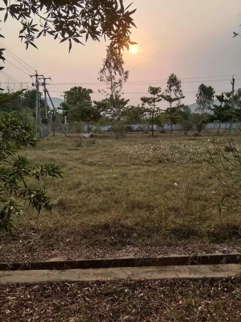PLOTS FOR SALE IN KURMANNAPALEM, OPEN PLOTS IN KURMANAPALEM