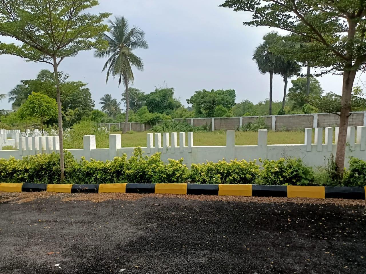 SANDY BEACH VIEW RESORT PLOTS IN BHOGAPURAM, PLOTS IN BHOGAPURAM BEACH VIEW