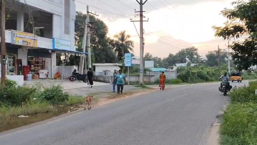 COMMERCIAL PROPERTIES AT GOPALAPATNAM, COMMERCIAL LANDS IN GOPALAPATNAM