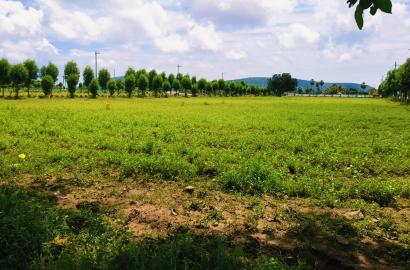 PLOTS IN BHOGAPURAM, VMRDA PLOTS FOR SALE IN BHOGAPURAM, OPEN PLOTS SALE IN BHOGAPURAM