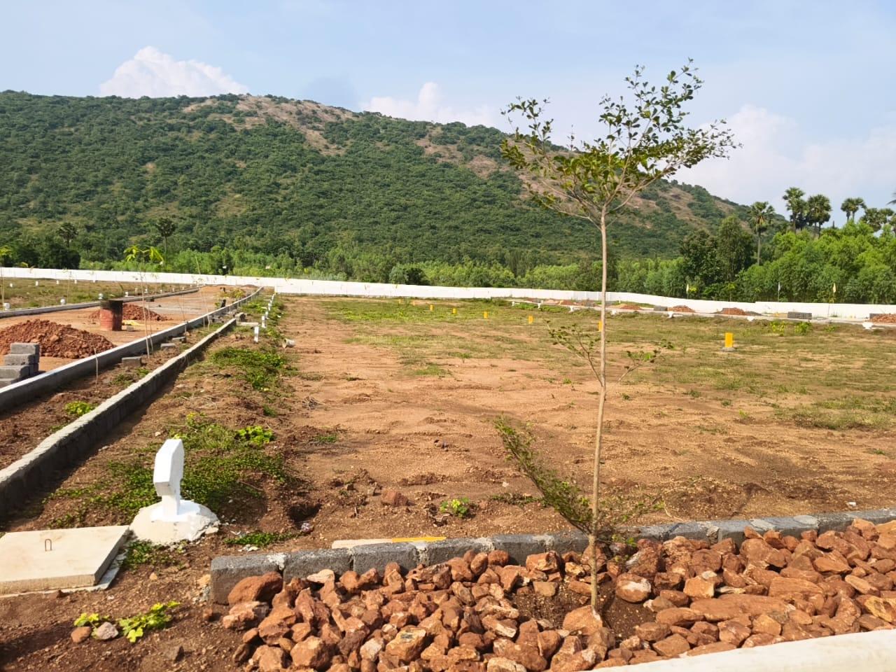 VMRDA-approved plots in Tarluvada, Residential plots for sale in Tarluvada, Open plots in Neelakundilu, Visakhapatnam