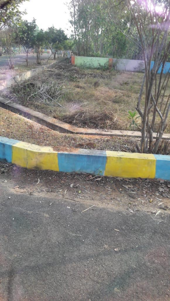 RESIDENTIAL PLOT SONTYAM, Plots for Sale in Sontyam, Visakhapatnam