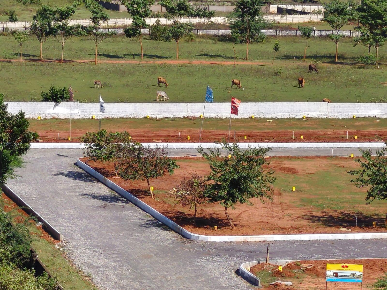 VMRDA plots near Tagarapuvalasa  Open plots for sale in Tagarapuvalasa , Residential plots in Tagarapuvalasa, Vizag coastal corridor plotsm