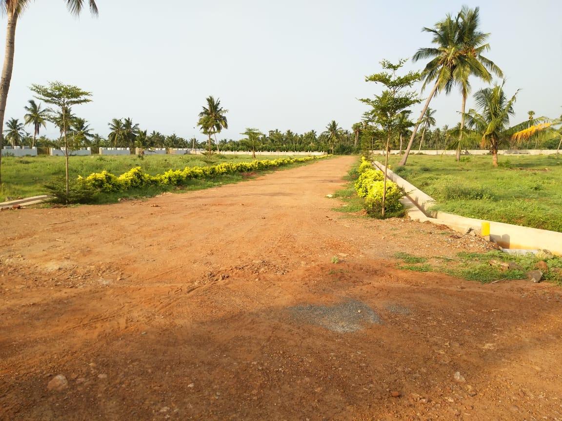 BHEEMILI BEACH VIEW PLOTS / BHEEMUNIPATNAM VMRDA PLOTS / BHEMMILI VMRDA VUDA PLOTS , Plots near Bheemili Beach