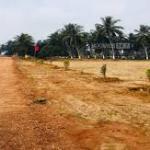 VMRDA & VUDA  PLOTS IN THAGARAPUVALASA RESIDENTIAL PLOTS AT THAGARAPUVALASA