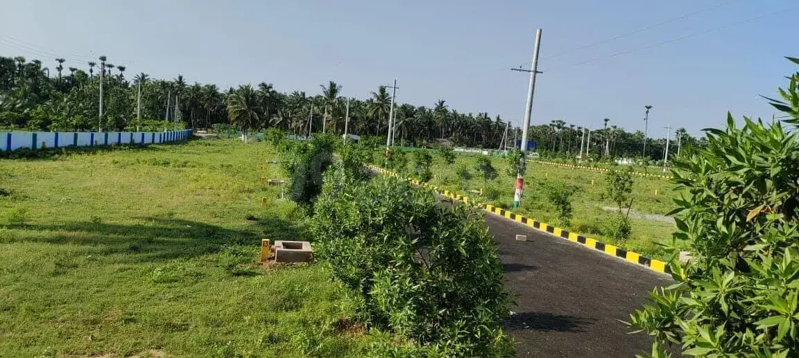 plots in Bhogapuram, Bhogapuram Residential Plots ,open plots in Bhogapuram, Vizag