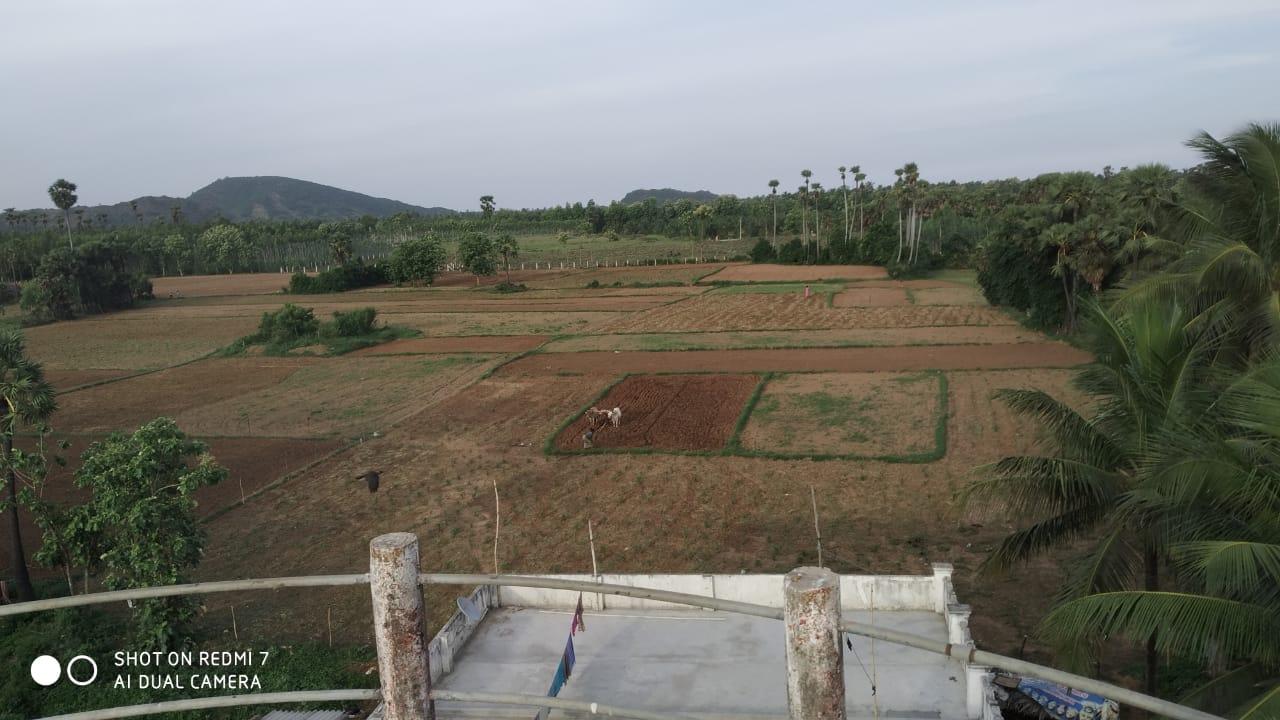 Land for Sale Bhogapuram |  Land for Sale Pusapatirega, Near Bhogapuram