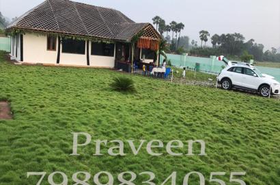 nandanavanam satvika