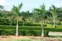 SUNRAY BEACH FRONT BHOGAPURAM Resale Plots in sunray village / SUNRAY BEACH FRONT