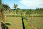 SUNRAY BEACH FRONT BHOGAPURAM Resale Plots in sunray village / SUNRAY BEACH FRONT