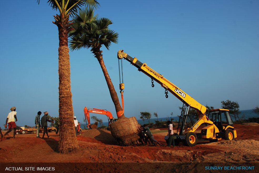 SUNRAY BEACH FRONT BHOGAPURAM Resale Plots in sunray village / SUNRAY BEACH FRONT