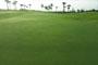SUNRAY BEACH FRONT BHOGAPURAM Resale Plots in sunray village / SUNRAY BEACH FRONT
