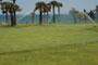 SUNRAY BEACH FRONT BHOGAPURAM Resale Plots in sunray village / SUNRAY BEACH FRONT