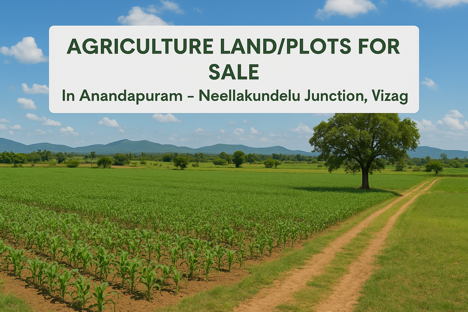 2 Acres Land for Sale — Gottipalli Village, Anandapuram, Visakhapatnam Near Tarluwada IT Hub