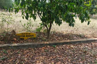 Plots in Sontyam, Residential plots for sale in Sontyam,Plots for sale in Sontyam Vizag