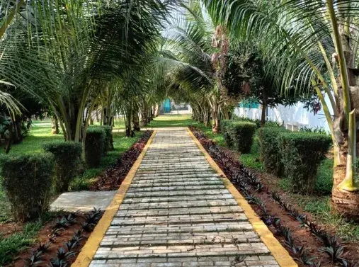 BHOOMATHA GROUP VIZAG Bhoomatha Thalluri Township in Thagarapuvalasa, Bhoomatha Thalluri Township in Vizag.